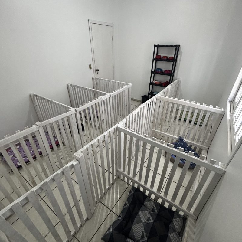IMG_9343